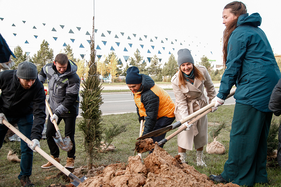 В рамках проекта по созданию ЦОД «Иннополис» в наукограде посадили более 450 деревьев